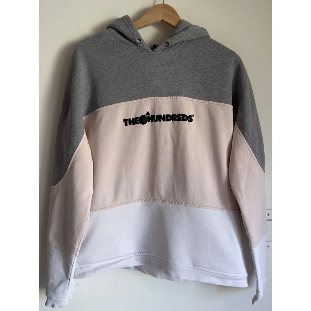 The Hundreds Colorblock Heavyweight Hoodie Sweatshirt-Flocked Logo Adam Bomb-Med